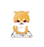 しばけん-たちばな（個別スタンプ：38）
