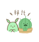 little cactus's diary（個別スタンプ：35）