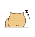 ねこずき（個別スタンプ：36）