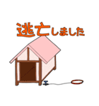 ゆる黒柴（個別スタンプ：36）