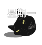 LazyFatBlackCat（個別スタンプ：1）