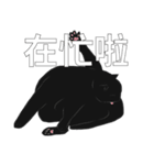 LazyFatBlackCat（個別スタンプ：4）