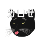 LazyFatBlackCat（個別スタンプ：10）