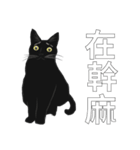 LazyFatBlackCat（個別スタンプ：12）