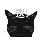 LazyFatBlackCat（個別スタンプ：13）