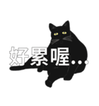 LazyFatBlackCat（個別スタンプ：14）