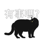 LazyFatBlackCat（個別スタンプ：18）