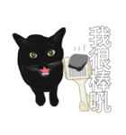 LazyFatBlackCat（個別スタンプ：24）