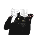 LazyFatBlackCat（個別スタンプ：26）