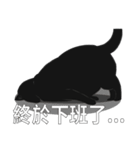 LazyFatBlackCat（個別スタンプ：34）