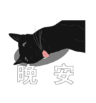 LazyFatBlackCat（個別スタンプ：35）