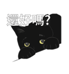 LazyFatBlackCat（個別スタンプ：38）