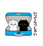 くろねこ一家（個別スタンプ：31）