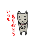 かわかっこいい犬ジョン 2（個別スタンプ：7）