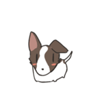 Jack Russell Terrier - Coco（個別スタンプ：1）