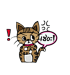 Kao-Tu : The Little Cat（個別スタンプ：13）