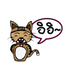 Kao-Tu : The Little Cat（個別スタンプ：15）