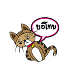 Kao-Tu : The Little Cat（個別スタンプ：19）