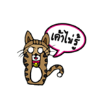 Kao-Tu : The Little Cat（個別スタンプ：26）