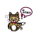 Kao-Tu : The Little Cat（個別スタンプ：27）