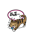 Kao-Tu : The Little Cat（個別スタンプ：38）