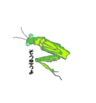カマキリの日々（個別スタンプ：22）