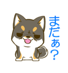 黒しばたん 2 黒柴犬 日本犬（個別スタンプ：35）