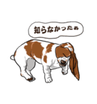 バセットハウンド (犬)6（個別スタンプ：10）