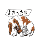 バセットハウンド (犬)6（個別スタンプ：39）