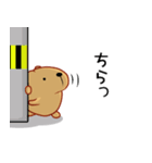 きゃぴばら7（個別スタンプ：5）