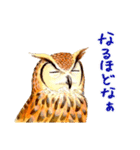 ミミズクさん リアルっぽいバージョン（個別スタンプ：33）