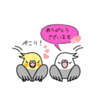 オカメインコ「感謝感激おかめいんこ」（個別スタンプ：2）