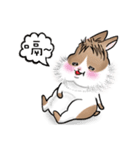 KIGO with the fluffy bangs（個別スタンプ：23）