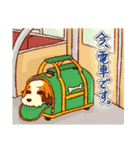 わんこスタンプ！（個別スタンプ：19）