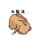 He's a rabbit（個別スタンプ：13）