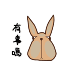 He's a rabbit（個別スタンプ：25）