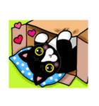 Poker face ＆ Piggy cat Part3(English)（個別スタンプ：17）