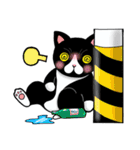 Poker face ＆ Piggy cat Part3(English)（個別スタンプ：19）