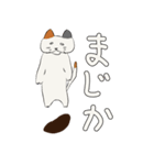 うきねこ（個別スタンプ：6）