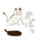 うきねこ（個別スタンプ：8）