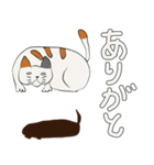 うきねこ（個別スタンプ：11）