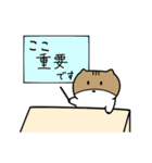 リス坊スタンプ（個別スタンプ：31）