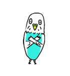 インコパラダイス（個別スタンプ：34）