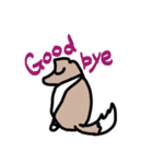 Lovely Shetlandsheepdog（個別スタンプ：34）