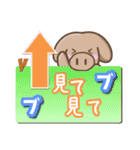 優しいブタさん（個別スタンプ：34）