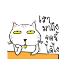 white cat in the house（個別スタンプ：6）