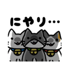 おうちねこトリオ（個別スタンプ：1）