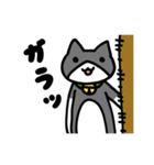 おうちねこトリオ（個別スタンプ：4）