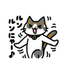 おうちねこトリオ（個別スタンプ：11）