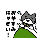 おうちねこトリオ（個別スタンプ：17）
